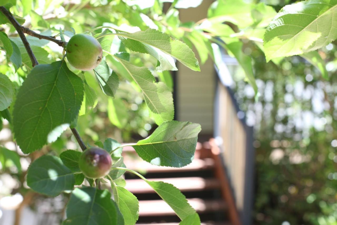 Allegra Cottage Of Leura Exterior photo